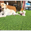 아이조아요양보호소 안양점 이미지