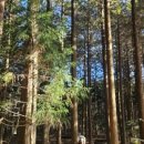 치유센터 화장실 이미지