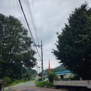 벌티식당 이미지