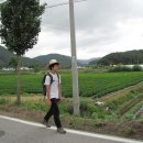 삼생1리 이미지