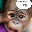 디뮤어네일 - 동래구 | 디뮤어네일