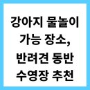 행복한리약국 | 강아지 물놀이 가능 장소, 반려견 동반 수영장 추천
