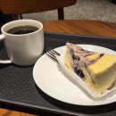 노엘상사 | [일상] 꿈을 잃지 마세요