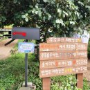 꼭지목장 이미지