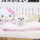 아콩하우스 이미지