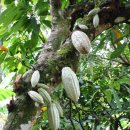 경제농장 이미지