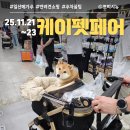 (주)케이마트 | 2025 메가주 일산 케이펫페어 필수 정보: 주차·쇼핑 전략 한 번에 정리