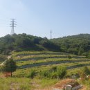 여순로 이미지