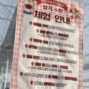 다은이 농장 | 진주 다은딸기 방문 후기