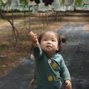 준희농장 이미지