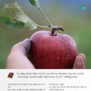 마태농장2 이미지
