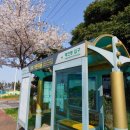 해안동입구 (제주아트리움방면) 이미지