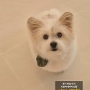 나봄스파 이미지