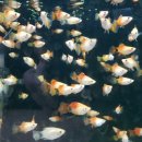 (주)아쿠아링크 이미지