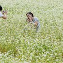 서울 영동 조리부 한식세컨 급구합니다 이미지