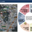 초읍시장 이미지