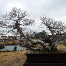 제주아트랜드 이미지