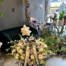 리즈플라워 | 호원동꽃집 찐 후기 <리즈플라워> (ft. 따뜻한 마음이 느껴지는 곳)