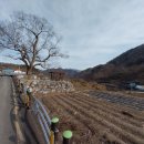 KH농장 Daum카페