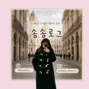 유니온 | 블로그 스킨 유니온컴퍼니 적용 후기, 바꿔보니까 생각보다 분위기가 확 달라지더라구요