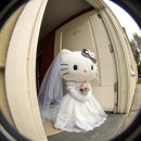 원베일리 참좋은세탁소 | Wedding 5. 홀 투어 only 채플사랑╬♥═╬ (채플앳 논현, 채플앳 청담, 삼성 베일리하우스, 보테가마지오)