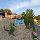 울루라떼 이미지