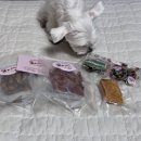 나도먹개 이미지