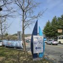 경주 보문호수 벚꽃 실시간 경주 놀거리 경주 여행 산책 후기 (주차정보)