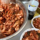 정현시래기 이미지