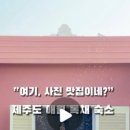 라라하귀 이미지