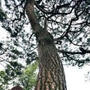 중앙교사거리 이미지