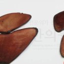 산돌한의원 이미지