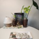 미소떡집 이미지