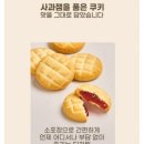 타타3 | 다이소에서 꼭 사야 하는 가성비 수입과자 타타와 쿠키 3종 솔직 후기｜블루베리 티라미수 딸기잼