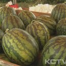 신엄농산물 직거래장터 이미지