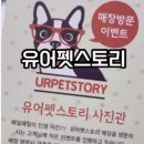 유어펫스토리 이미지