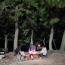 해변 낚시마트 | 고흥 캠핑!! 잘 먹고 잘 웃고 잘 놀았던 으른이들의 캠핑낚시이야기