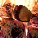 청록태권도장 이미지