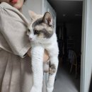 수복농장 | 2025가 가기전에..하반기 사진일기