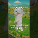 순천 애니멀 필름 페스타 이미지