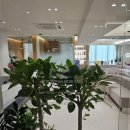 뷰커스의원 이미지