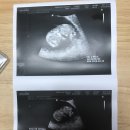 오복산전 이미지