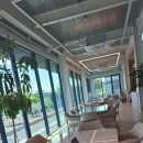 더샤벳 세종점 | 세종 빵집 월하리149베이커리카페 세종 대형베이커리카페