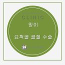 24시스마트동물메디컬센터 이미지