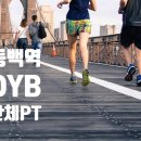 디와이비짐 네이버블로그
