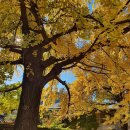 기쁜소식행정사사무소 이미지