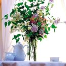 안의꽃사랑 이미지