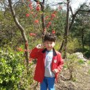 승민