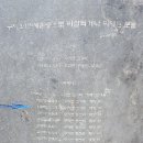 태형수지 이미지