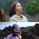 와일드밴드 이미지
